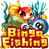 Bingo Fishing on plus777 login